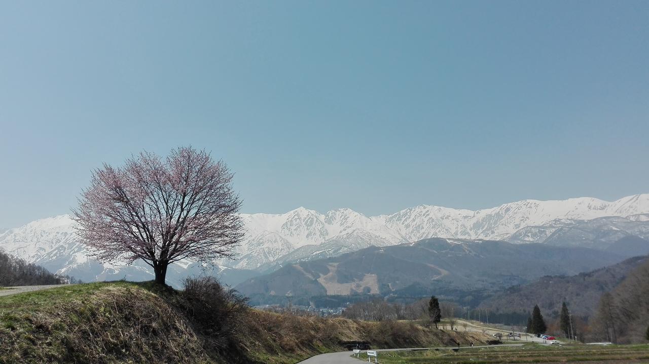 Pension Blue Hakuba Zewnętrze zdjęcie